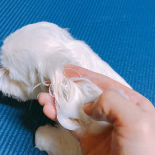 콩순이엄마님이 올린 리뷰 사진 2
