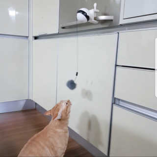 드림님이 올린 리뷰 사진 1