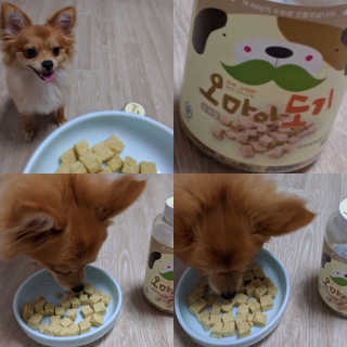 ggotnarae님이 올린 리뷰 사진 1