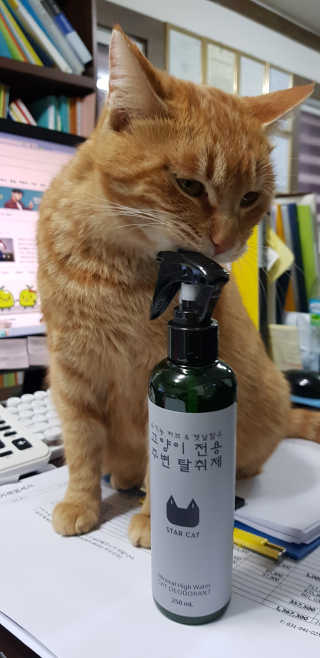 빡찌님이 올린 리뷰 사진 3