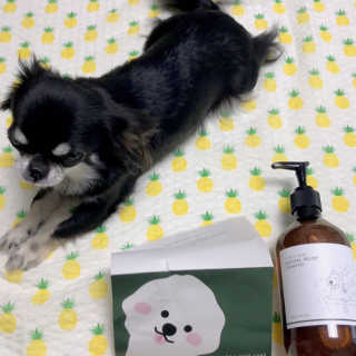 김수빈님이 올린 리뷰 사진 3