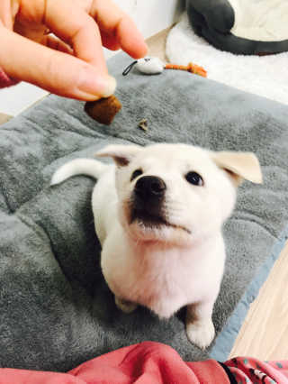 만듀모찌님이 올린 리뷰 사진 3