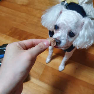 몽이언니님이 올린 리뷰 사진 2