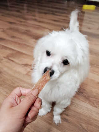 [펫다이어리] 강아지 수제간식 — 3.67점을 준 리뷰어가 2018년 5월 올린 사용 사진