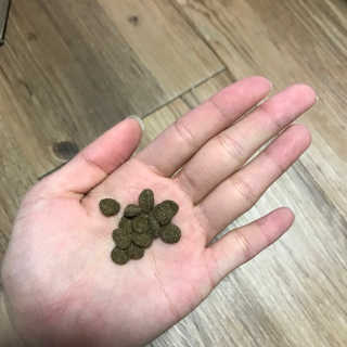 뚠희님이 올린 리뷰 사진 4