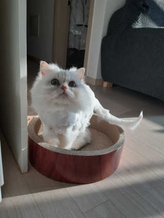 프리님이 올린 리뷰 사진 1
