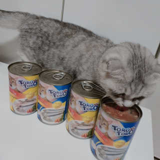 소소민님이 올린 리뷰 사진 3