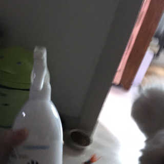 후추님이 올린 리뷰 사진 1
