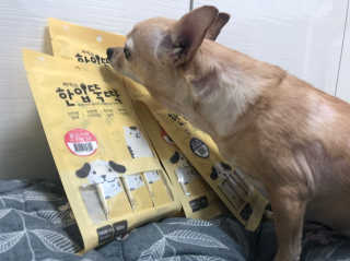 [펫토리아] 강아지,고양이겸용 짜먹는 한입뚝딱 — 5점을 준 리뷰어가 2019년 1월 올린 사용 사진