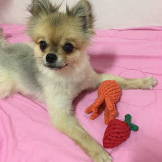 Ariel님이 올린 리뷰 사진 2