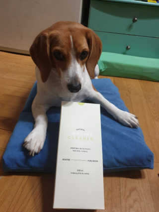 beaglelove님이 올린 리뷰 사진 2