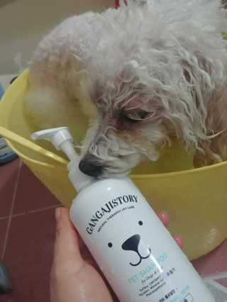호두맘님이 올린 리뷰 사진 1