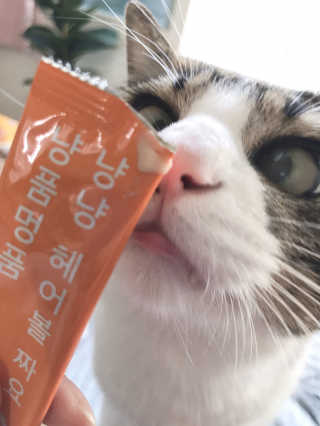 글라라5205님이 올린 리뷰 사진 2