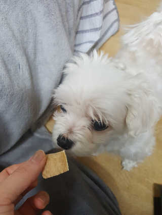 둥가둥가우리도도님이 올린 리뷰 사진 2