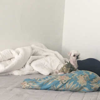 단발소녀님이 올린 리뷰 사진 2
