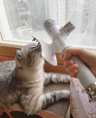 꼬마콩님이 올린 리뷰 사진 1