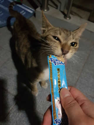 흥이님이 올린 리뷰 사진 3