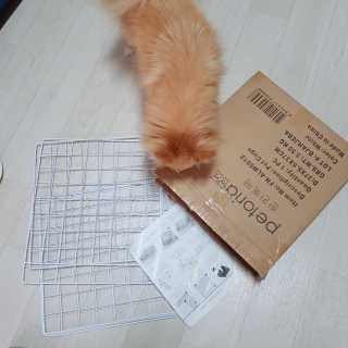 오현주님이 올린 리뷰 사진 1