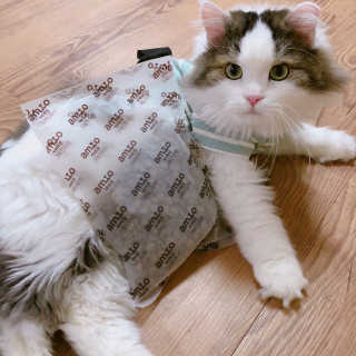 눌222님이 올린 리뷰 사진 1
