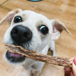 뽀찌🧚‍♀️님이 올린 리뷰 사진 1