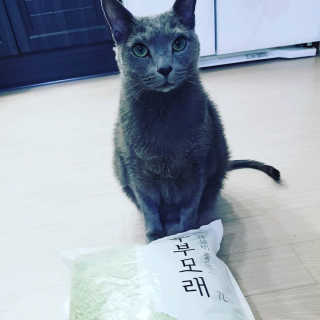김반장님이 올린 리뷰 사진 1