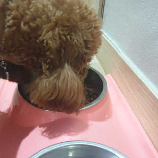 지수님이 올린 리뷰 사진 4