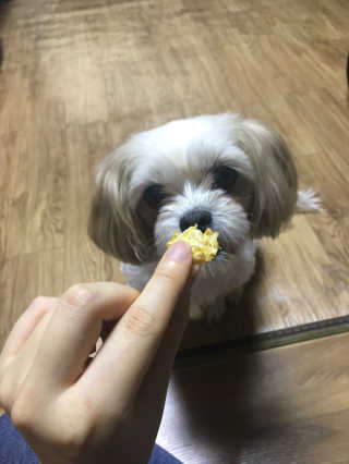 다쏘옴님이 올린 리뷰 사진 4