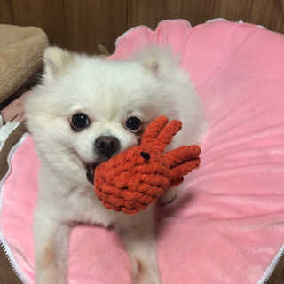 young님이 올린 리뷰 사진 1