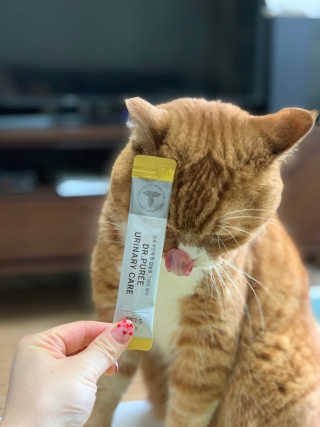 선짱님이 올린 리뷰 사진 3