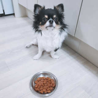 빵갱님이 올린 리뷰 사진 1