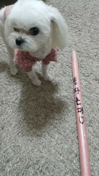 민꾜님이 올린 리뷰 사진 2