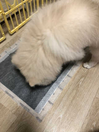 오정선님이 올린 리뷰 사진 2