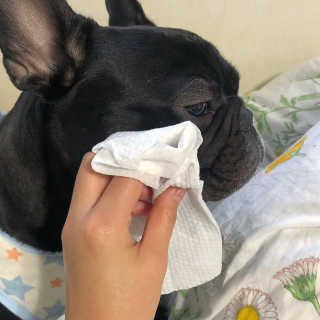 매화님이 올린 리뷰 사진 2