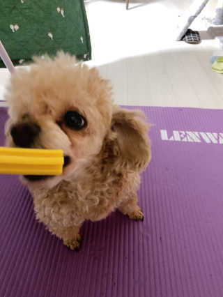 랑이님이 올린 리뷰 사진 2