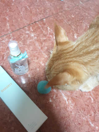 아리네님이 올린 리뷰 사진 4