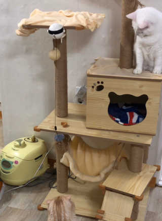 김노롸님이 올린 리뷰 사진 2