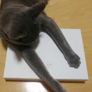 Sssssing님이 올린 리뷰 사진 2