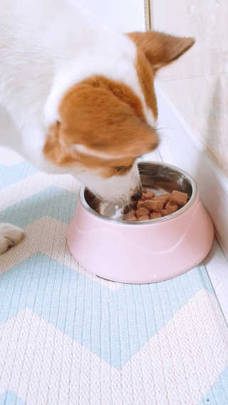 빡여사님님이 올린 리뷰 사진 3
