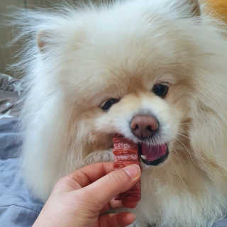 치리짱님이 올린 리뷰 사진 2