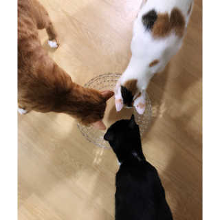 minahjjing님이 올린 리뷰 사진 3