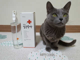 [펫토리아]살균뚝딱 강아지 고양이 살균소독제 탈취제 — 4점을 준 리뷰어가 2019년 10월 올린 사용 사진