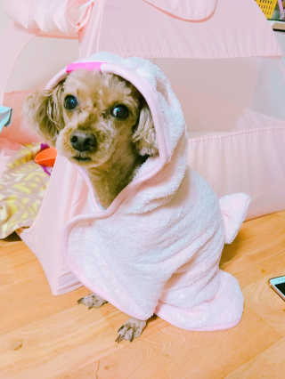 손수빈님이 올린 리뷰 사진 1