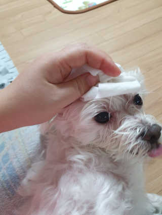 마이쭈님이 올린 리뷰 사진 3