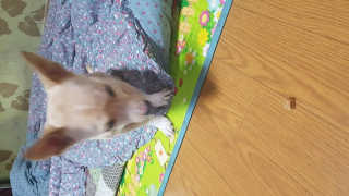 영이님이 올린 리뷰 사진 2