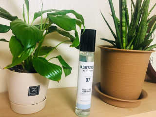 더블유드레스룸 드레스퍼퓸 150ml — 5점을 준 리뷰어가 2018년 10월 올린 사용 사진