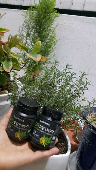 08L님이 올린 리뷰 사진 2