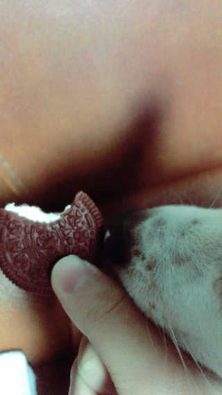 배예님이 올린 리뷰 사진 2