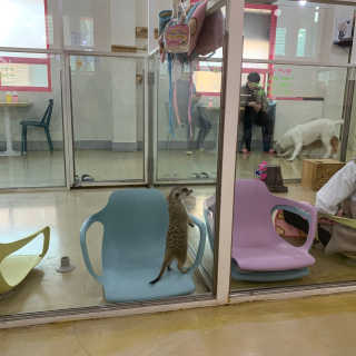 윰쨕님이 올린 리뷰 사진 4