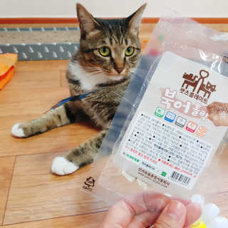 펫츠플레이트 동결건조간식 기호성 테스트 8종 — 5점을 준 리뷰어가 2018년 5월 올린 사용 사진