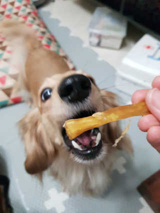 끙순둥단님이 올린 리뷰 사진 4